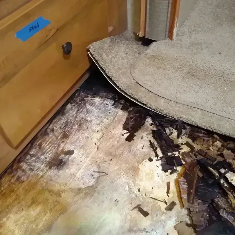 Wood Floor Water Damage in Lake County, IN